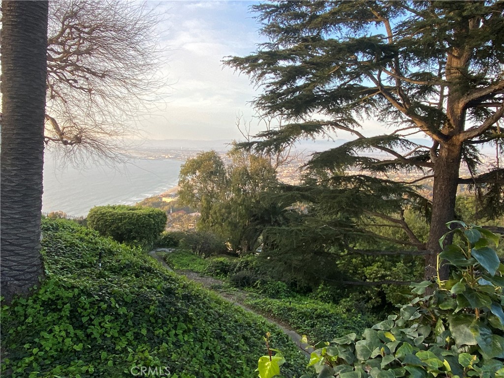 https://media.crmls.org/medias/c53a4e12-a197-49d5-baf9-15270c021194.jpg?preset=X-Large