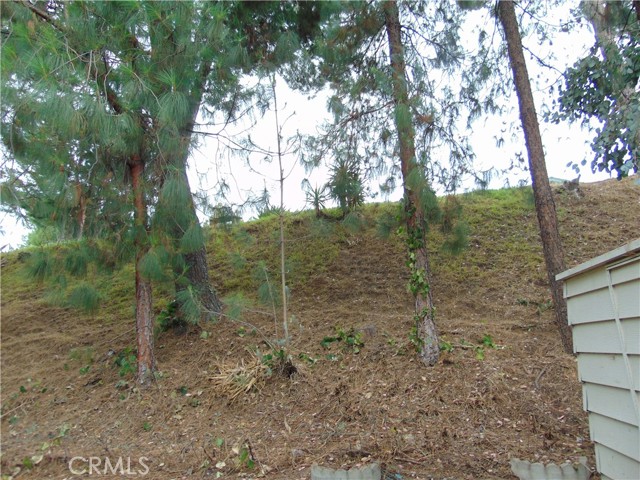 Detail Gallery Image 44 of 50 For 4040 Piedmont Dr #356,  Highland,  CA 92346 - 2 Beds | 2 Baths