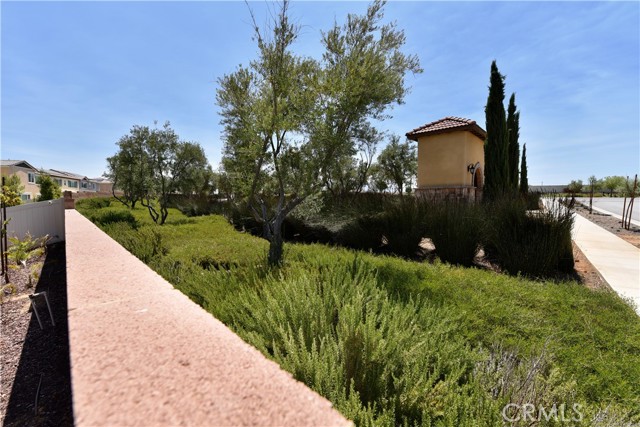 Image 48 of 53 For 36913 Arezzo Court