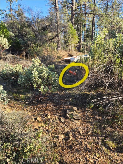 Detail Gallery Image 22 of 34 For 0 Double Eagle Way, Brownsville,  CA 95919 - – Beds | – Baths