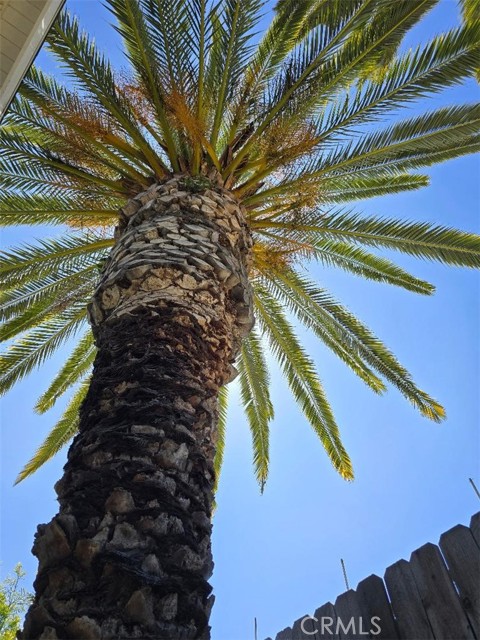 2317 Apple Avenue, Torrance CA: https://media.crmls.org/medias/c54ae990-4cd9-44f1-8fde-c393eaabbed4.jpg