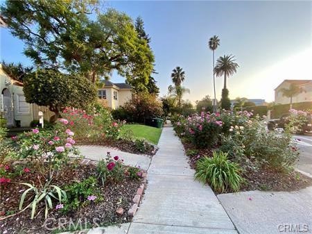 Detail Gallery Image 11 of 66 For 1046 S Citrus Ave, Los Angeles,  CA 90019 - 2 Beds | 1 Baths