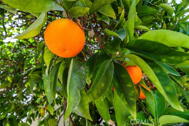 2230 Cordero Avenue, Simi Valley CA: https://media.crmls.org/medias/c554f83a-9286-40b3-a3c1-52a85d163a6e.jpg