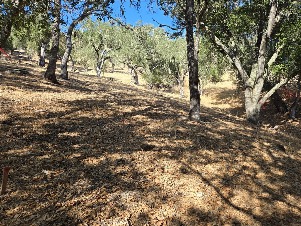 MLS #NS25224080 image #5