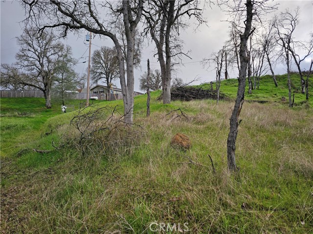 17150 Deer Park Drive, Lower Lake, CA 95457 Listing Photo  6