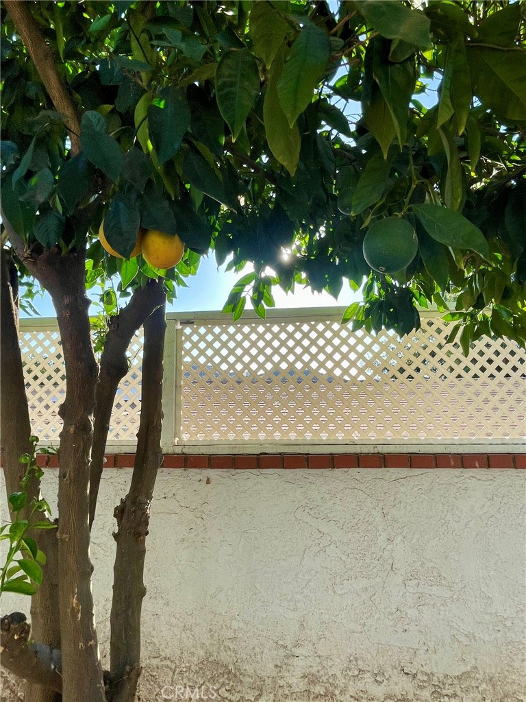 https://media.crmls.org/medias/c574db08-1f61-4e43-985a-858f0ebfdd26.jpg?preset=X-Large