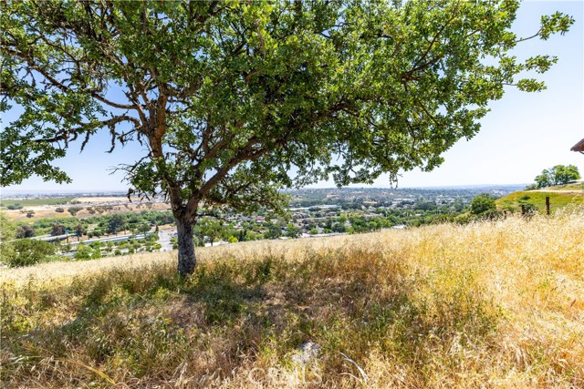 Detail Gallery Image 4 of 12 For 437 Calle Alto St, Paso Robles,  CA 93446 - – Beds | – Baths