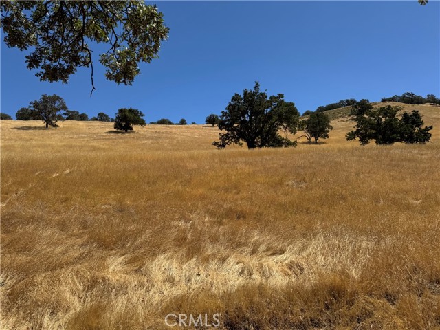 Detail Gallery Image 11 of 17 For 0 Arosa Rd, Tehachapi,  CA 93561 - – Beds | – Baths