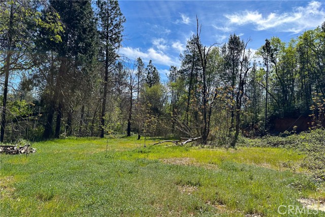 Detail Gallery Image 20 of 29 For 21138 Big Oak Ln, Lakehead,  CA 96051 - – Beds | – Baths