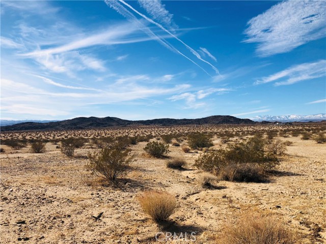 Detail Gallery Image 2 of 12 For 46 Desert Lily St, Joshua Tree,  CA 92252 - – Beds | – Baths