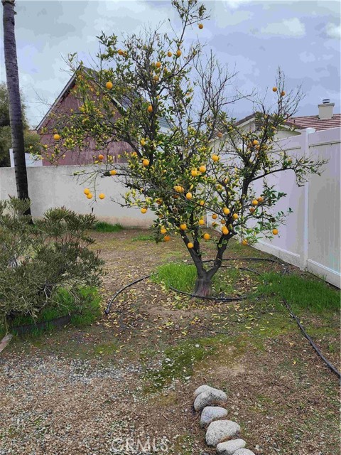 Detail Gallery Image 6 of 28 For 856 Harrow, Hemet,  CA 92545 - 3 Beds | 2 Baths