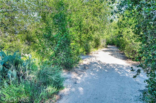 Detail Gallery Image 53 of 55 For 42 Abrigo, Rancho Santa Margarita,  CA 92688 - 2 Beds | 2 Baths