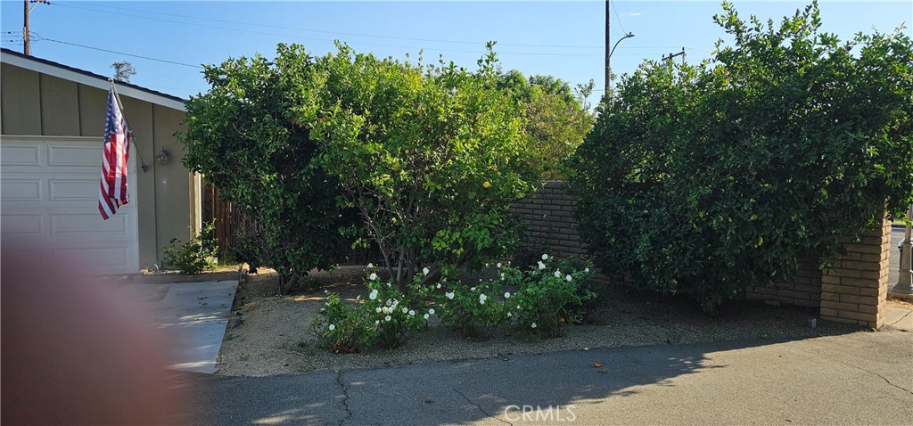 https://media.crmls.org/medias/c59959be-eae0-4faf-9251-b90b82414d52.jpg?preset=X-Large
