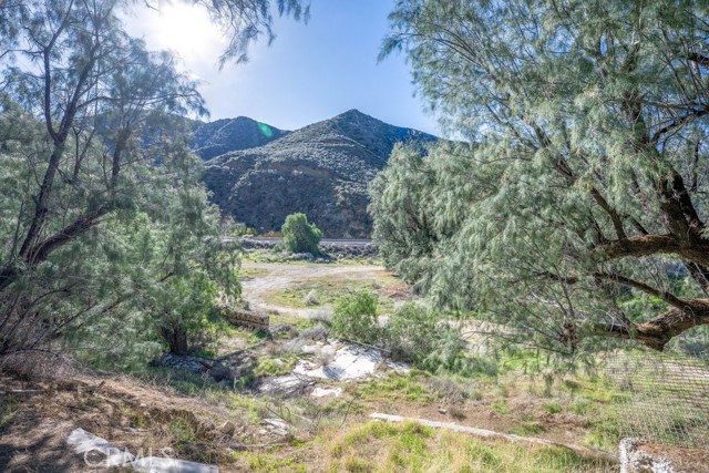 Detail Gallery Image 15 of 31 For 12571 Capra, Agua Dulce,  CA 91390 - 3 Beds | 1 Baths