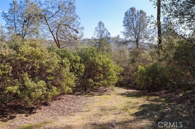 Detail Gallery Image 11 of 24 For 0 6.48 Ac Long Hollow Dr, Coarsegold,  CA 93614 - – Beds | – Baths