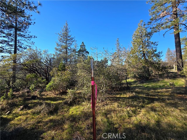 Detail Gallery Image 19 of 34 For 0 Double Eagle Way, Brownsville,  CA 95919 - – Beds | – Baths