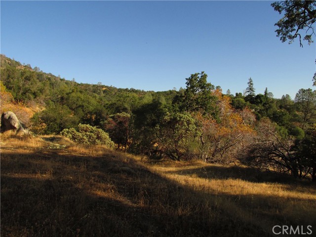 Detail Gallery Image 10 of 54 For 2 Ac Old Oaks Ct, North Fork,  CA 93643 - – Beds | – Baths