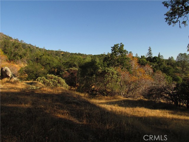 2 Old Oaks Court, North Fork, California 93643, ,Land,For Sale,2 Old Oaks Court,CRFR23180860