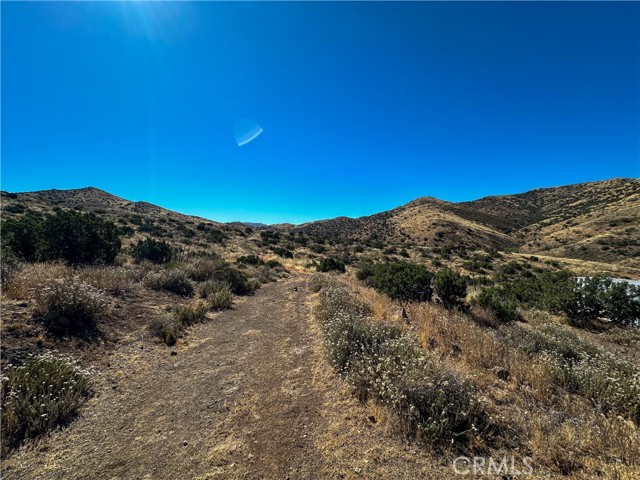 Detail Gallery Image 2 of 15 For 0 Big Springs Rd, Agua Dulce,  CA 91350 - – Beds | – Baths