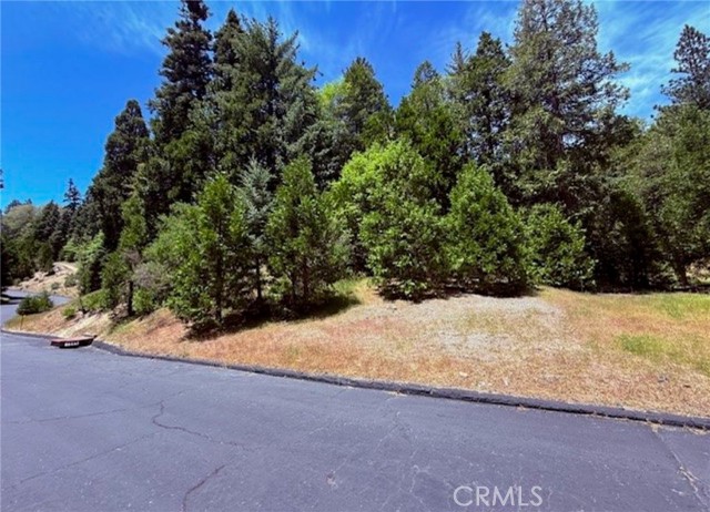 Detail Gallery Image 5 of 10 For 246 Cedar Ridge, Lake Arrowhead,  CA 92352 - – Beds | – Baths