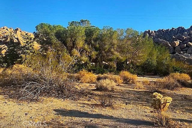 MLS #OC23216688 image #3