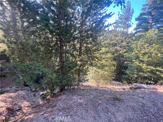 3300330 Elder Drive, Cedar Glen, California 92321, ,Land,For Sale,3300330 Elder Drive,CRHD23128009