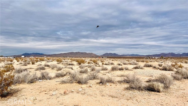 Detail Gallery Image 24 of 32 For 47229227 Harris Ln, Apple Valley,  CA 92307 - – Beds | – Baths