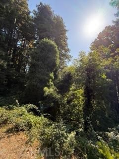 Detail Gallery Image 4 of 4 For 4107217 04107217000, Aptos,  CA 92503 - – Beds | – Baths