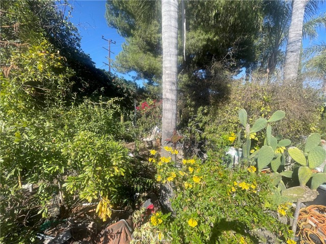 7751 Arvilla Avenue, Sun Valley CA: https://media.crmls.org/medias/c5c298a0-a204-4c90-86f2-984d869cd103.jpg