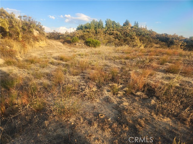1007 Roan Way, Aguanga, CA, 92536 1007 Roan Way, Aguanga, CA, 92536