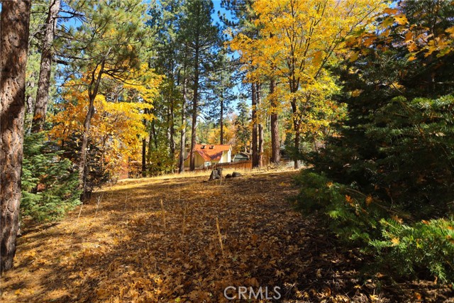 Detail Gallery Image 6 of 10 For 0 Ford Ln, Big Bear Lake,  CA 92315 - – Beds | – Baths