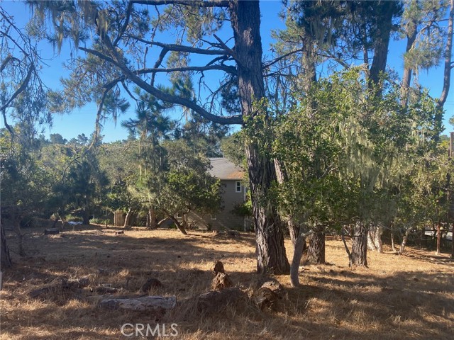 0 Alban Place, Cambria, California 93428, ,Land,For Sale,0 Alban Place,CRSC23200431