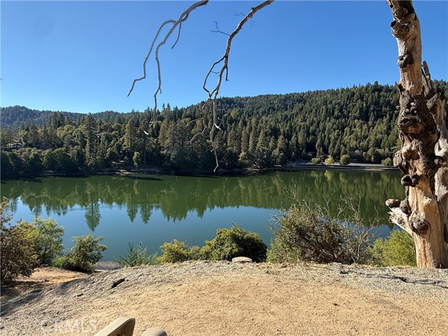 23764 Zuger Drive, Crestline, CA 92325