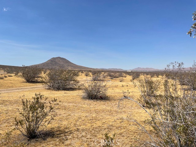 0 Waalew Road, Apple Valley, California 92307, ,Land,For Sale,0 Waalew Road,CRHD23125881