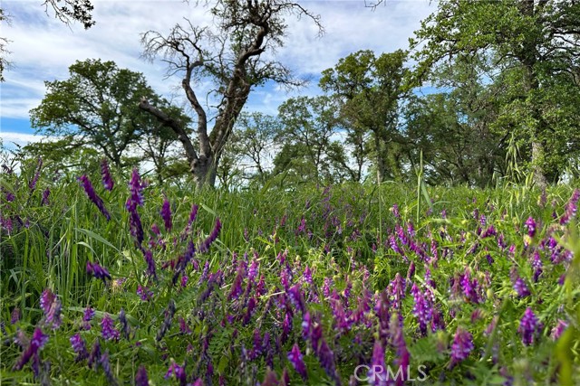 Detail Gallery Image 3 of 26 For 16475 River Heights Dr, Red Bluff,  CA 96080 - – Beds | – Baths