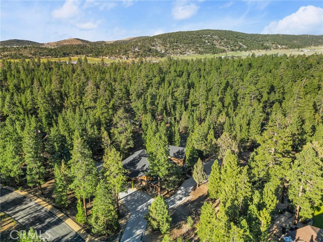 1540 Alderwood Court, Big Bear City CA: https://media.crmls.org/medias/c5cd8577-cd3c-4998-b9c8-7caf51a4343d.jpg