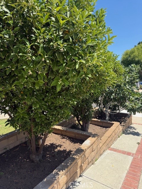 16699 Itasca Street, Northridge CA: https://media.crmls.org/medias/c5cda463-f8f9-4816-a0b4-a3d6c30c8113.jpg