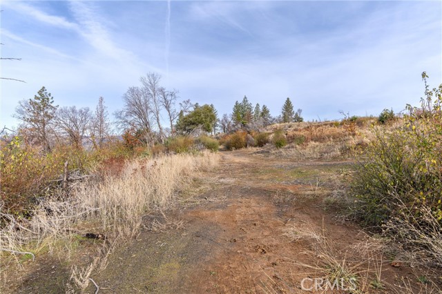 2261 Lumpkin Road, Oroville, California 95966, ,Land,For Sale,2261 Lumpkin Road,CRSN23227177