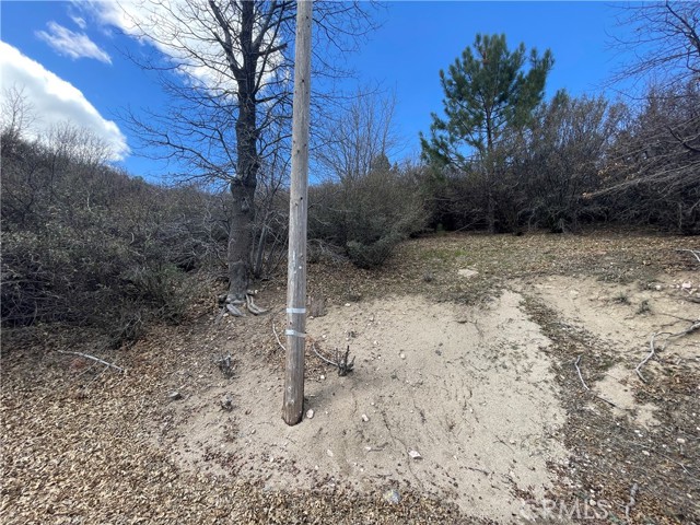 Detail Gallery Image 9 of 14 For 0 Pine Dr, Cedar Glen,  CA 92321 - – Beds | – Baths