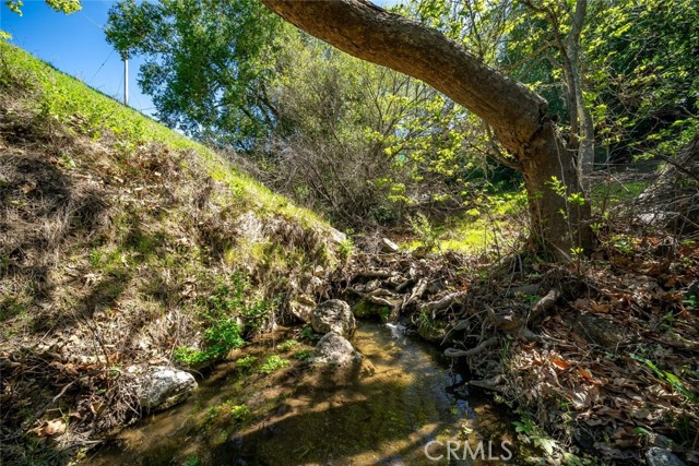 Detail Gallery Image 25 of 30 For 9190 Arroyo Del Mar, Cambria,  CA 93428 - 3 Beds | 3 Baths