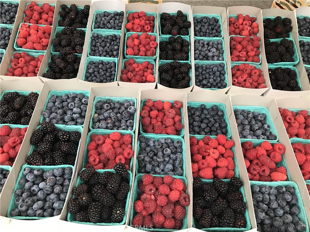 https://media.crmls.org/medias/c5e3fe0c-293e-4f7c-8886-f4e7871c7898.jpg?preset=X-Large