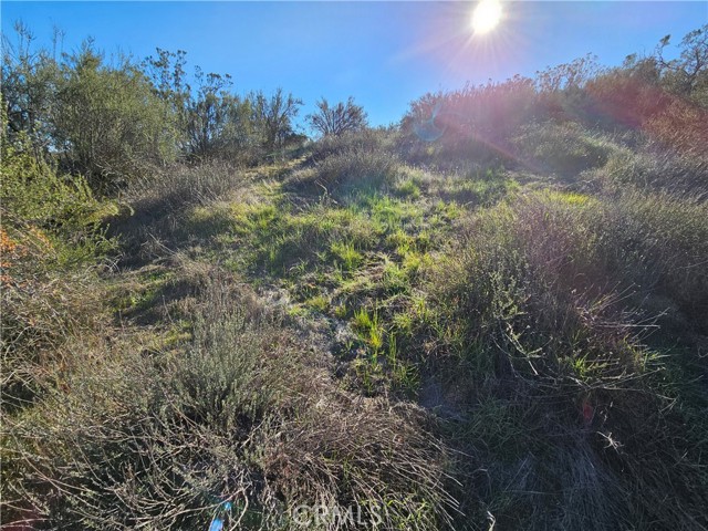 Detail Gallery Image 14 of 36 For 806 Deer Creek, Aguanga,  CA 92536 - – Beds | – Baths