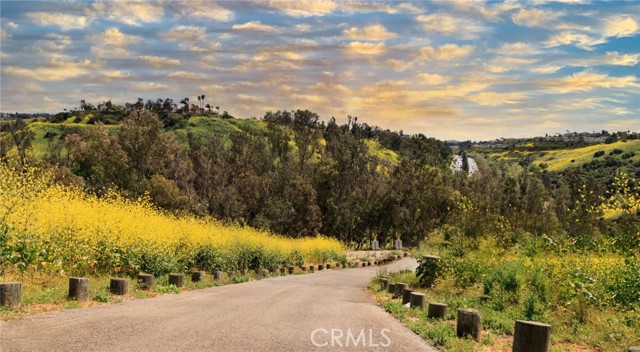 66 Elderwood, Aliso Viejo CA: https://media.crmls.org/medias/c5e7eb2d-fea1-4b19-bd01-35e15a775f9f.jpg