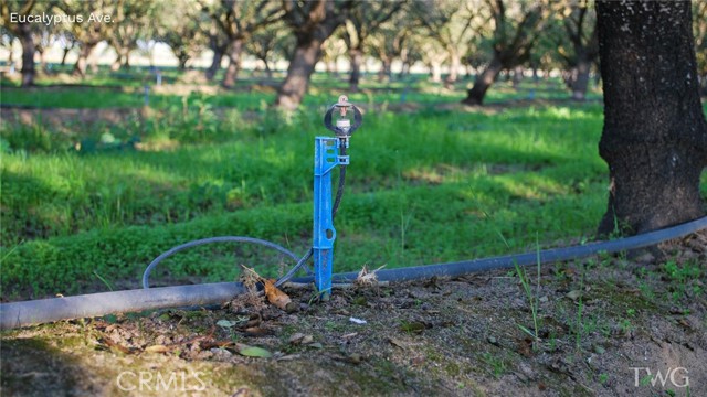 Detail Gallery Image 9 of 9 For 7190 Eucalyptus, Winton,  CA 95388 - 3 Beds | 2 Baths