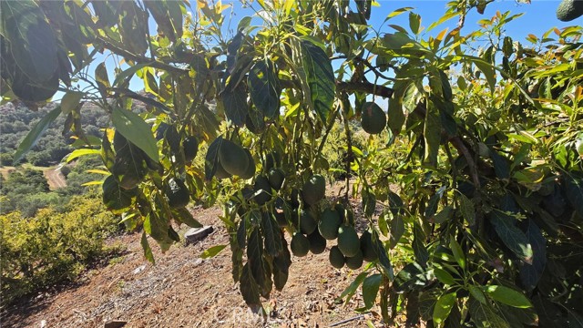 Front Image Thumbnail for CRPW26063901