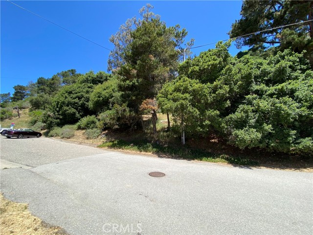 Detail Gallery Image 9 of 9 For 0 Kent St, Cambria,  CA 93428 - – Beds | – Baths