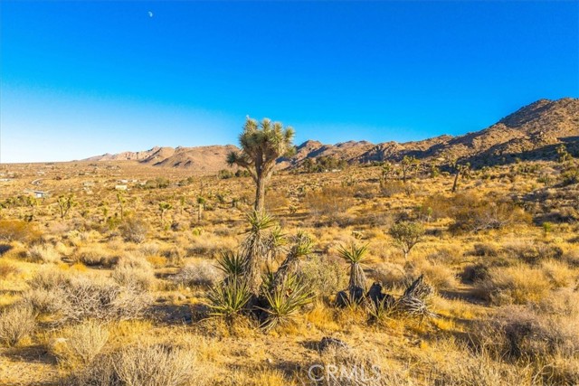 Detail Gallery Image 24 of 44 For 62455 Kent Rd, Joshua Tree,  CA 92252 - 0 Beds | 0 Baths