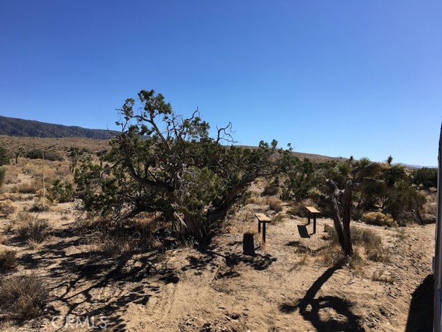 Detail Gallery Image 60 of 64 For 30840 234th St, Llano,  CA 93544 - 1 Beds | 1 Baths