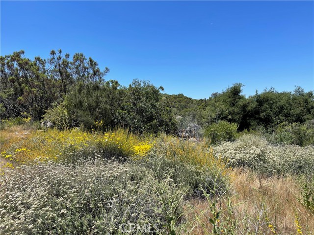 Detail Gallery Image 10 of 17 For 0 Tanager, Hemet,  CA 92544 - – Beds | – Baths