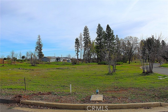 Front Image Thumbnail for CRPA26034267